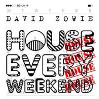 Der Nummer 1 Hit aus den UK Charts: David Zowie mit 