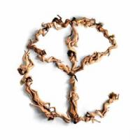 Yellow Claw haben ihr Debtalbum 